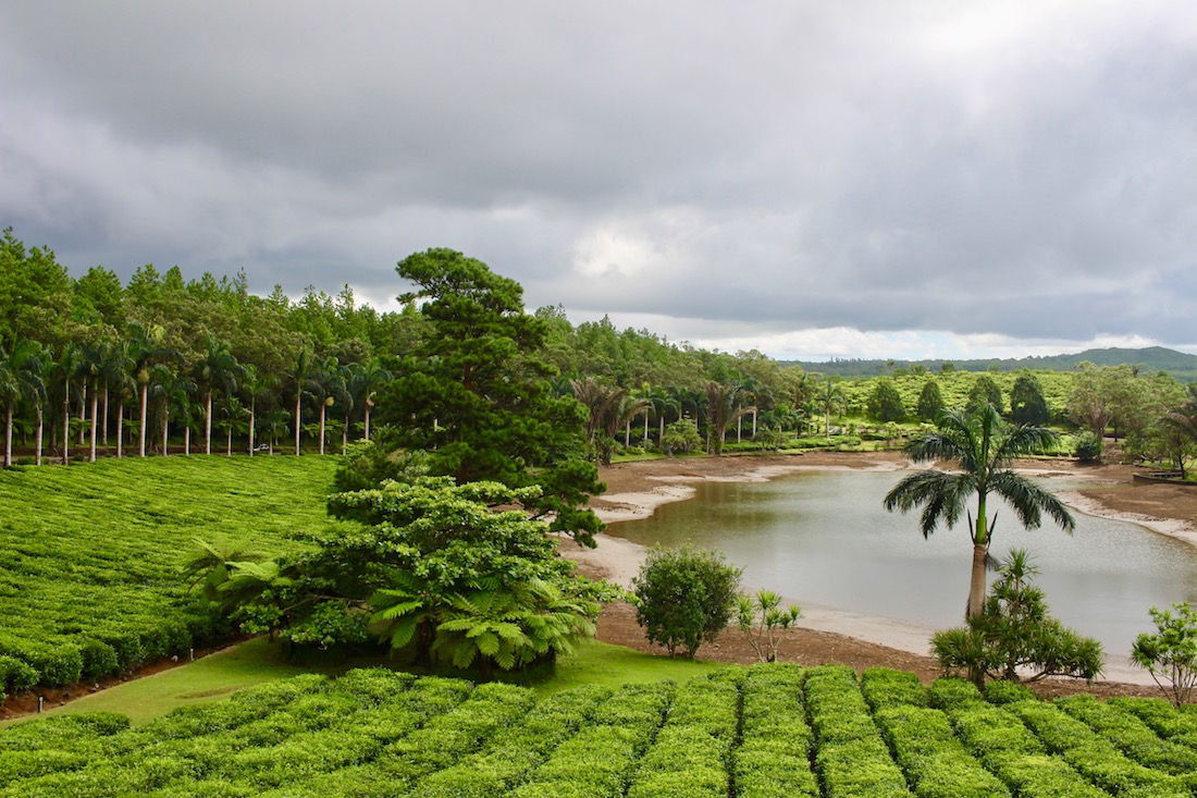 Destination Pakistan