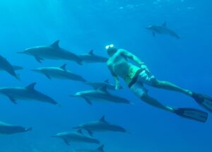 Destination Pakistan swim with dolphins - vibrations tours