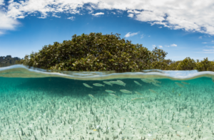 Destination Pakistan